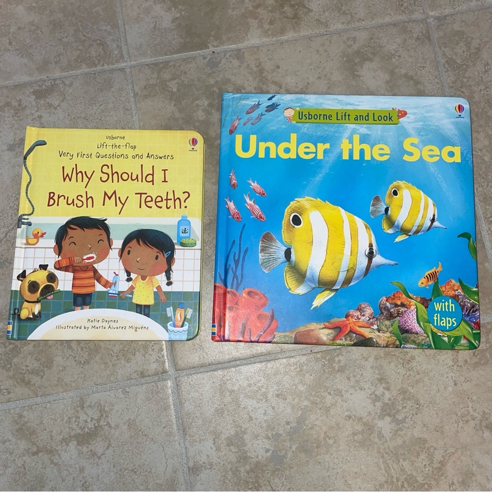Usborne Lift-the-Flap Children's Books
